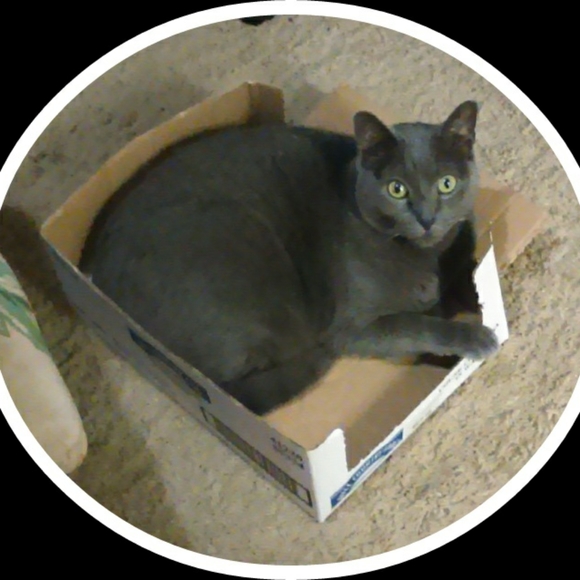 Meet your Posher, Jo - Picture 7 of 8